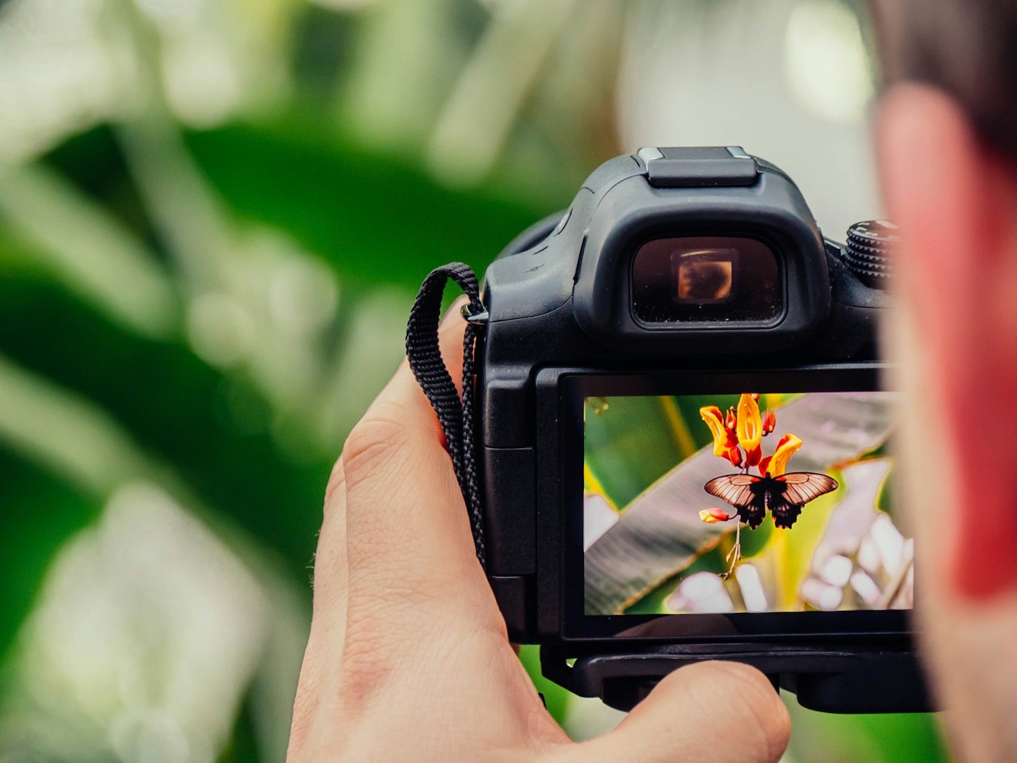 Warum Minimalismus in der Fotografie zählt